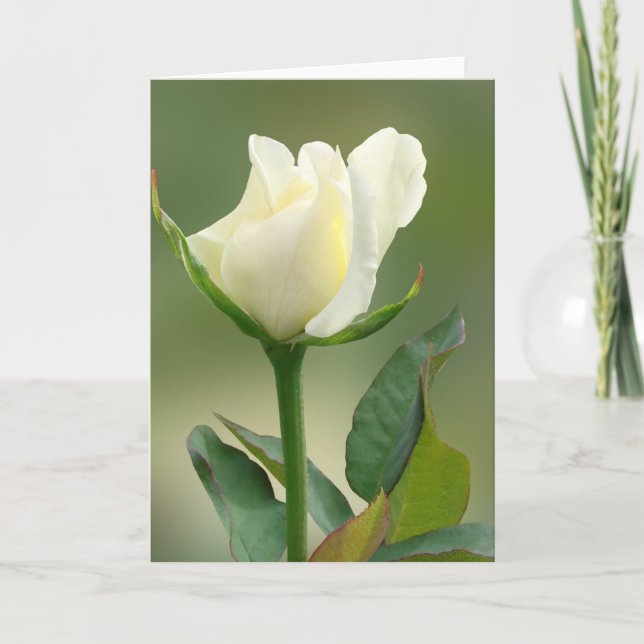Cartão Rosa Branco (Frente)