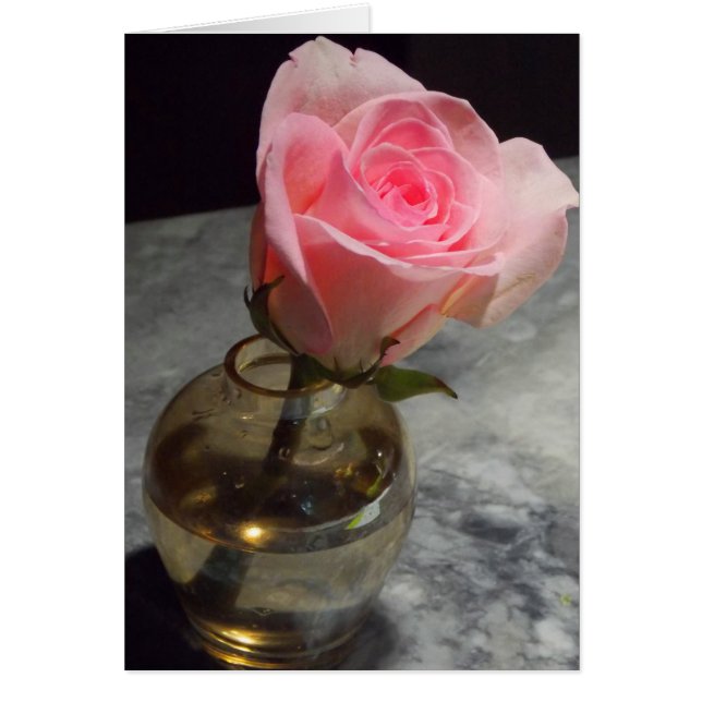Cartão Rosa Bud (Frente)