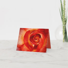 Cartão Rosa Card