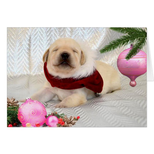 Cartão Rosa da semana 2 da gratitude (Frente Horizontal)