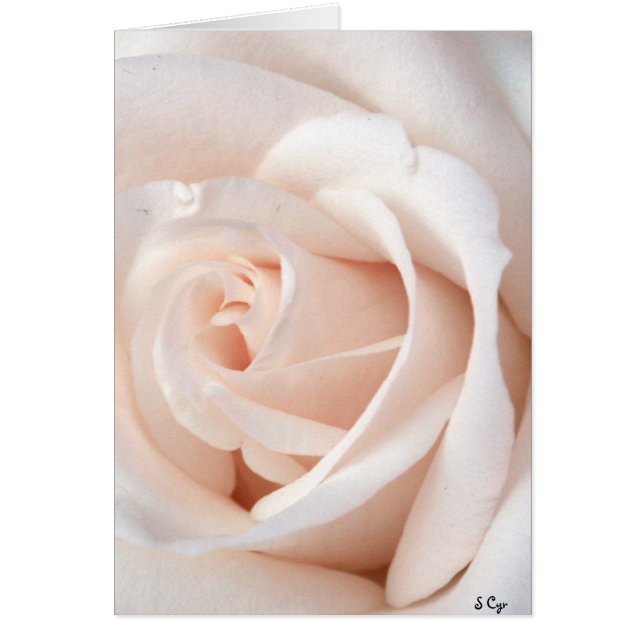 Cartão Rosa de Casamento (Frente)