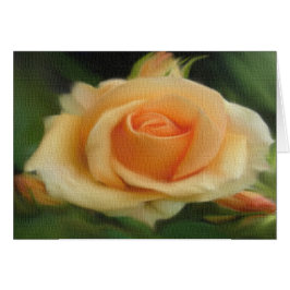 Cartão Rosa de cor de pêssego nas placas de Canvas