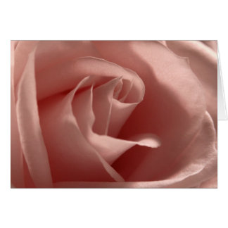 Cartão Rosa de cor-de-rosa claro