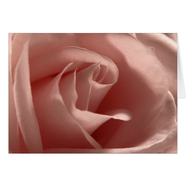 Cartão Rosa de cor-de-rosa claro (Frente Horizontal)