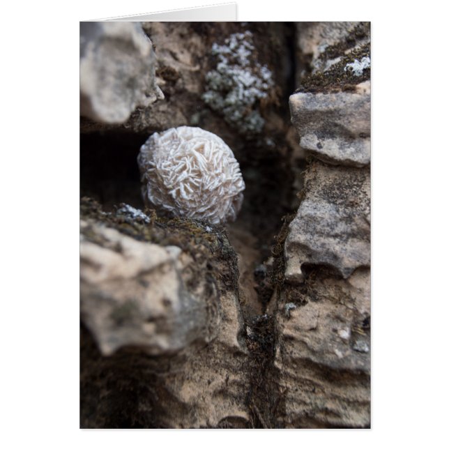 Cartão Rosa de deserto 136 das pedras | (Frente)