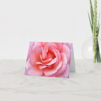 Cartão Rosa de florescência Notecard do rosa