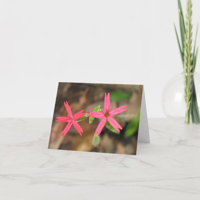 Cartão Rosa de fogo - Customized2 (Frente)