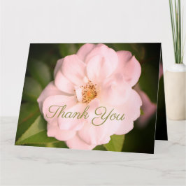 Cartão Rosa de Jardim Branco