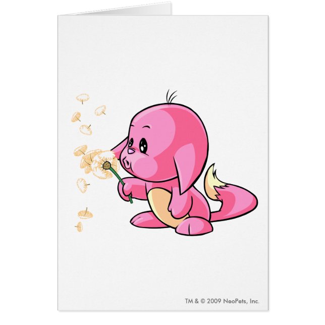 Cartão Rosa de Kacheek (Frente)