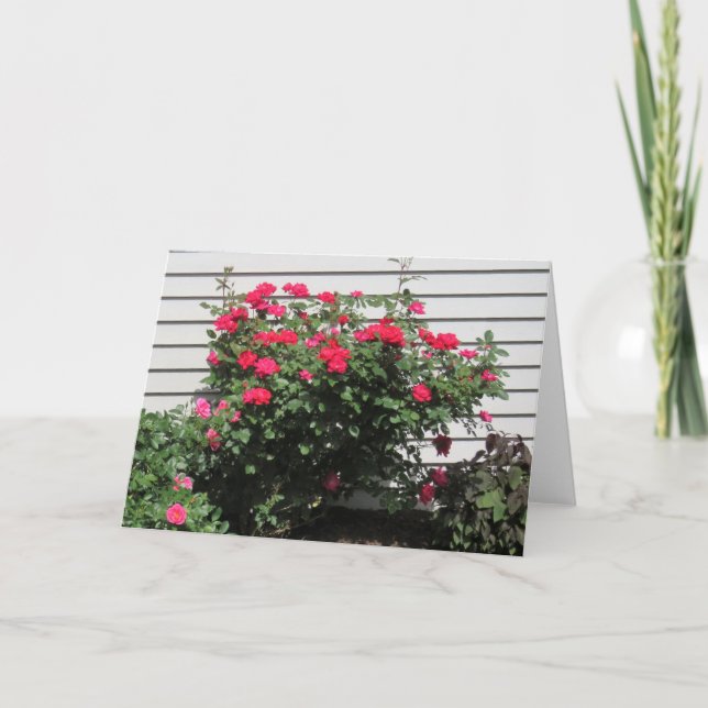 Cartão Rosa de Kardinal Vermelho (Frente)