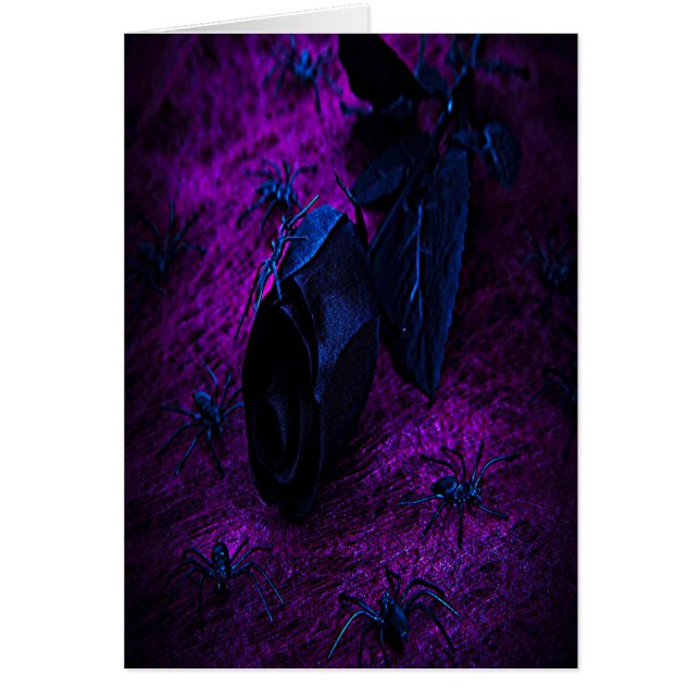 Cartão Rosa de Material Negro Spooky, Aranhas Negras (Frente)