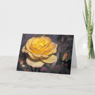 Cartão Rosa de Medalha Dourada