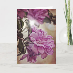 Cartão Rosa de Números de Placa de Escritura Sharon Sun 6