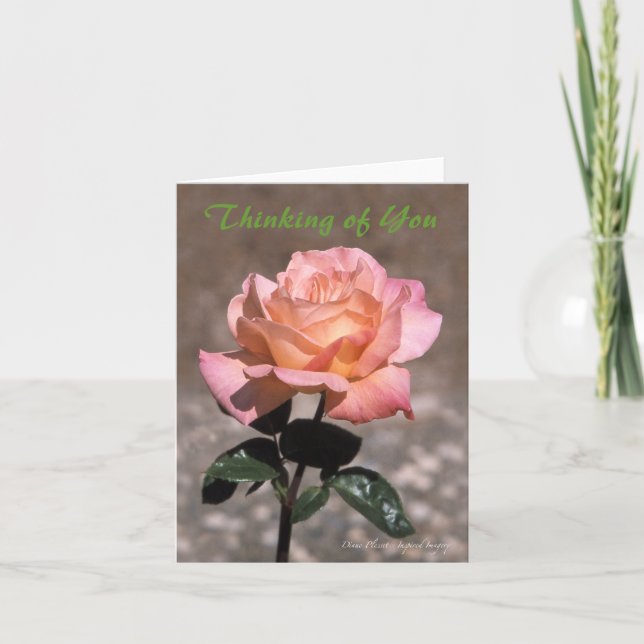 Cartão Rosa de Paz de Chicago (Frente)