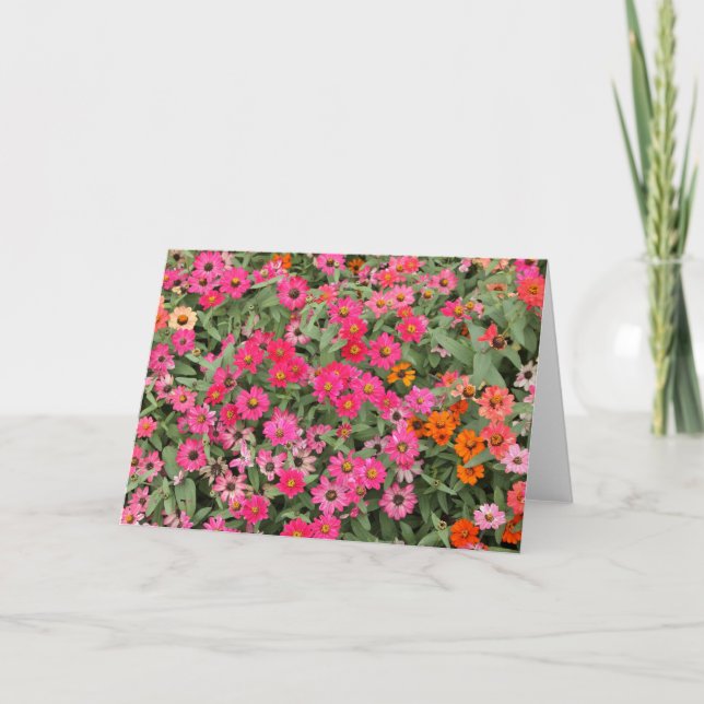 Cartão Rosa de Riotious (Frente)