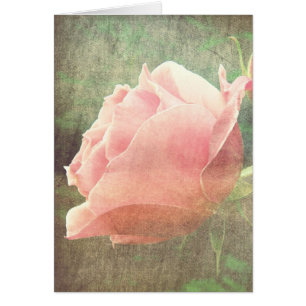 Cartão Rosa de Vintage