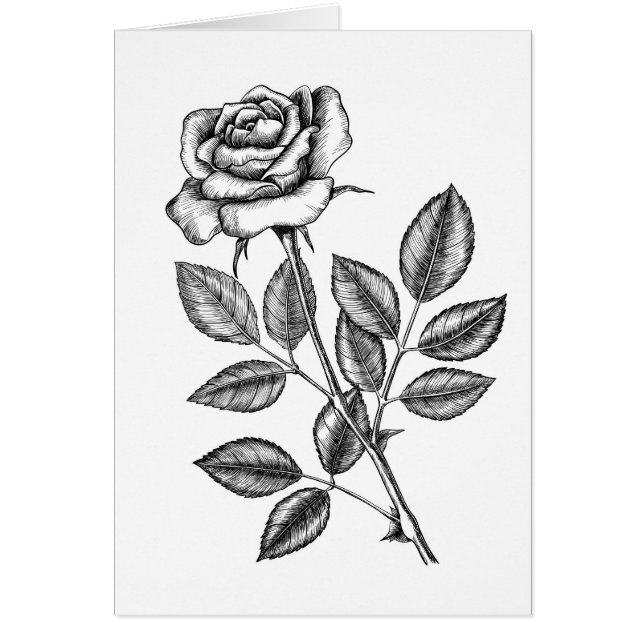 Cartão Rosa desenho 2 (Frente)