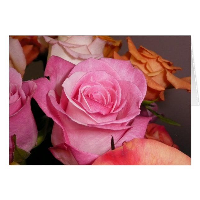 Cartão Rosa do rosa (Frente Horizontal)