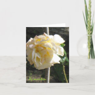 Cartão Rosa do Texas