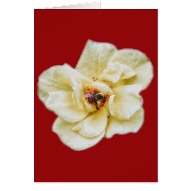 Cartão Rosa e Abelha (Frente)