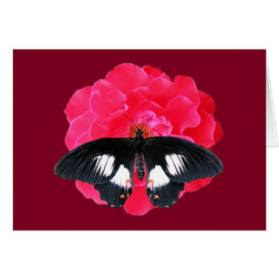 Cartão Rosa e Swallowtail