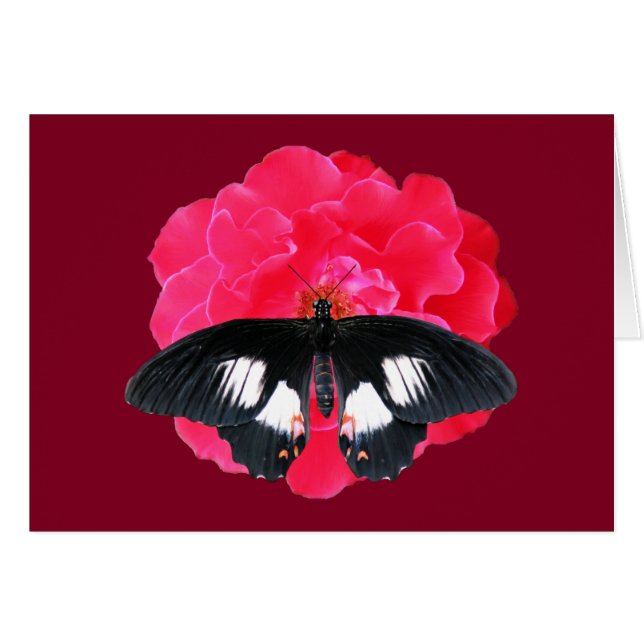 Cartão Rosa e Swallowtail (Frente horizontal)