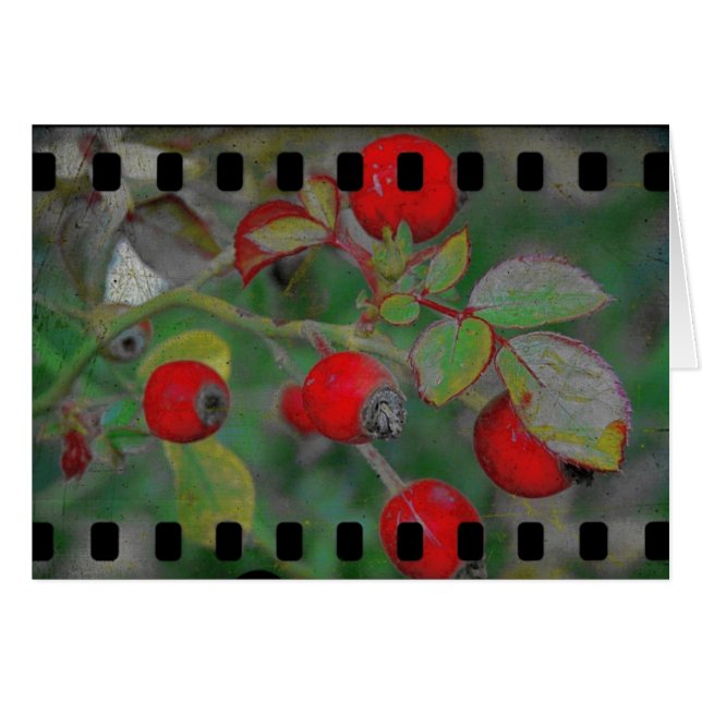 Cartão Rosa Film 2 (Frente Horizontal)