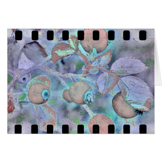 Cartão Rosa Film 3 (Frente Horizontal)