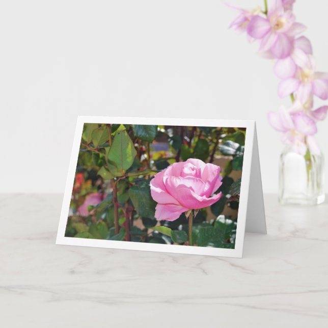 Cartão Rosa Floral Jardim Rosa (Orquídea)