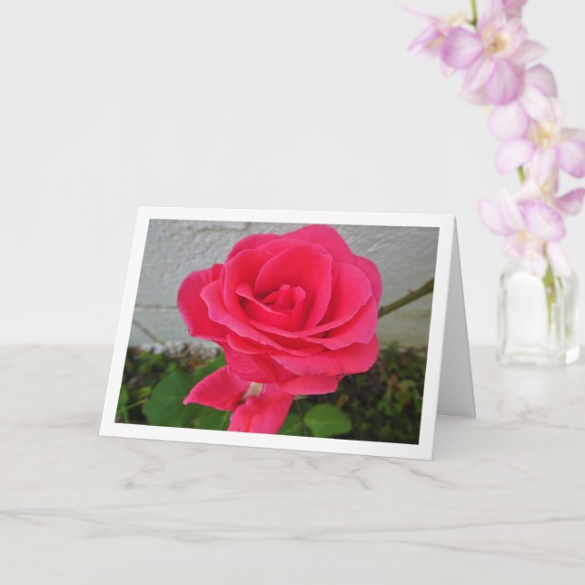 Cartão Rosa Floral Rosa (Orquídea)