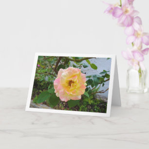 Cartão Rosa Floral Rosa e Amarela