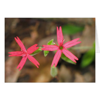 Cartão Rosa-Fogo - Personalizado