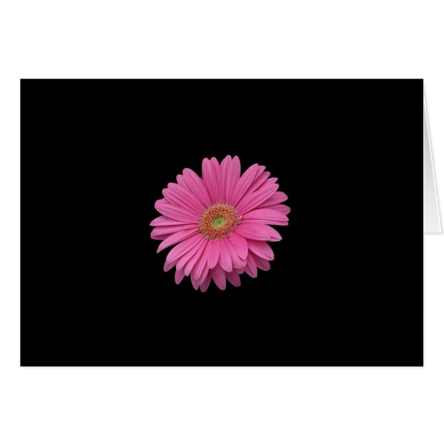 Cartão Rosa Gerbera Daisy (Frente Horizontal)