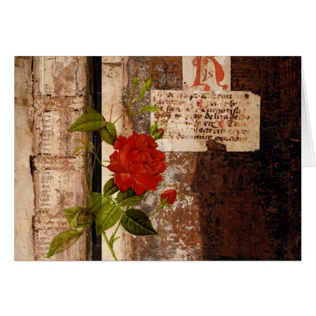 Cartão Rosa Grunge (Frente horizontal)