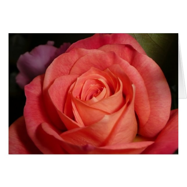 Cartão Rosa laranja (Frente Horizontal)