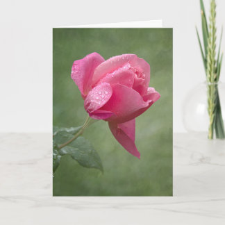 Cartão rosa Lorraine Lee