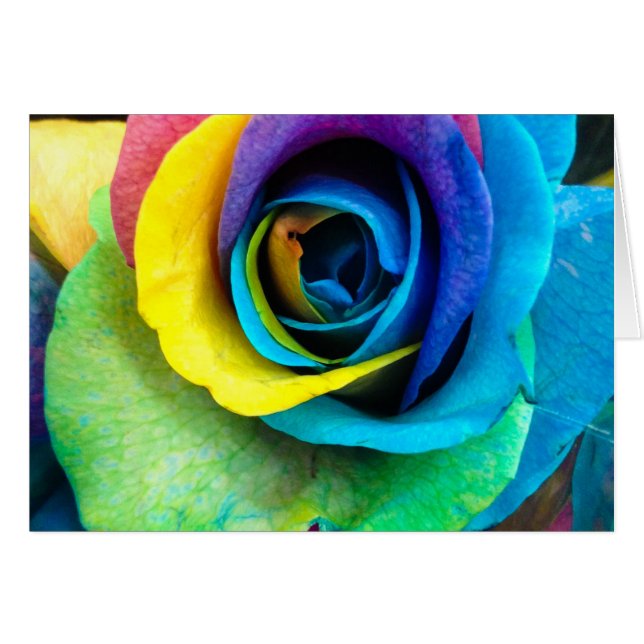 Cartão Rosa multicolorido pelo Snapaddy, pode personaliza (Frente Horizontal)