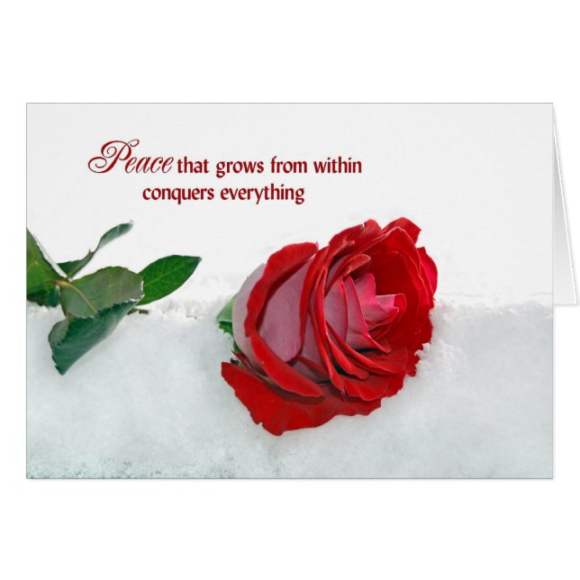 Cartão Rosa no inverno (Frente horizontal)
