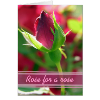 Cartão Rosa para um botão de rosa vermelha rosa