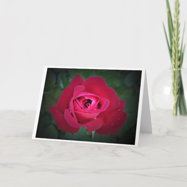 Cartão Rosa, placa (Frente)