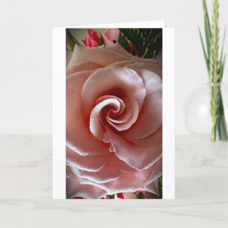 Cartão Rosa, placa