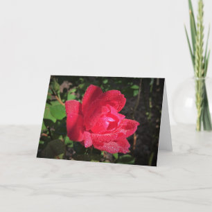 Cartão Rosa, placa