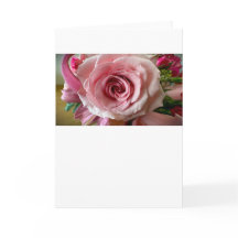 Rosa, placa