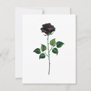 Cartão Rosa preto