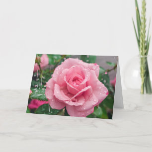 Cartão Rosa Rosa Florindo com Gotículas de Chuva