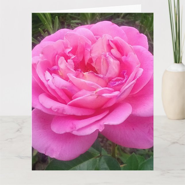 Cartão Rosa Rosa Romântica "Leonardo Da Vinci" (Frente)