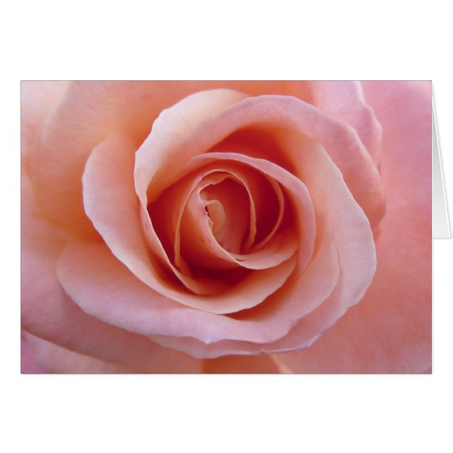 Cartão Rosa Rosa Rosa (Frente Horizontal)