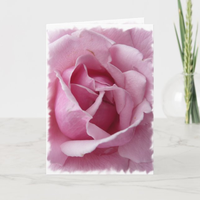 Cartão Rosa Rosa Rosa (Frente)