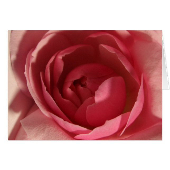 Cartão Rosa Rosa Rosa (Frente Horizontal)