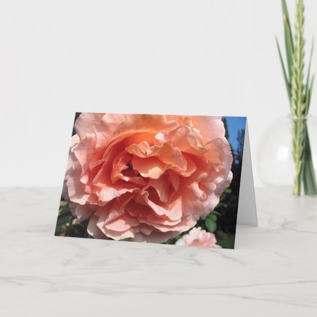 Cartão Rosa Rosa Rosa (Frente)